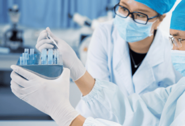 Msc Lab Technician Msc Lab Technician