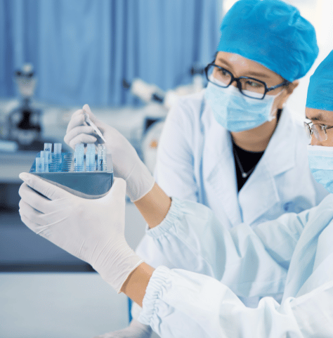 Msc Lab Technician Msc Lab Technician